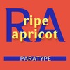 Ripe Apricot