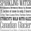 Niagara®