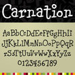 Carnation
