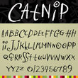 Catnip