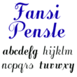 Fansi Pensle™