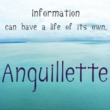 Anguillette™