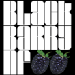 Blackbarry NF