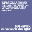 Bushwick JNL