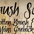Tipbrush Script™