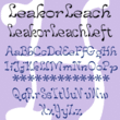 LeakorLeach™