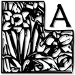 American Advertise 015