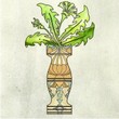 Flower Jars