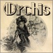Orchis