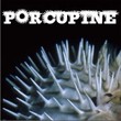 Porcupine