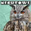 Nightowl JNL