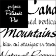 Palisade Pro™