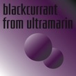 Black Currant