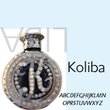 Koliba JY