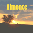 Almonte™