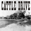 Cattle Drive JNL