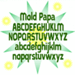 Mold Papa