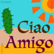 Amigo™