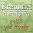 Breughel™