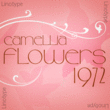 Camellia™