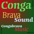Conga Brava™