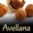 Avellana Pro