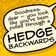 Hedge Backwards