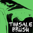 Tim Sale Brush