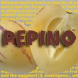 Pepino