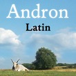 Andron 1 Latin Corpus™