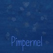 Pimpernel