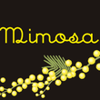Mimosa