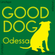 Odessa™