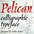Pelican™