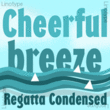 Regatta Condensed™