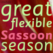 Sassoon Sans®