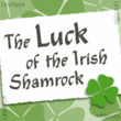 Shamrock™