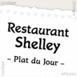 Shelley™