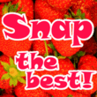 ITC Snap™