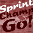 Sprint™