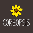 Coreopsis