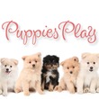 Puppies Play