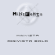 minivista