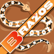 Brazos NF™