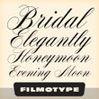 Filmotype Yale™