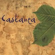Castanea