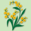 Plant Assortment
