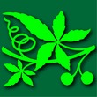 Printers Plant Ornaments