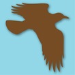 Birds Flying
