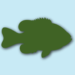 Fish Fresh